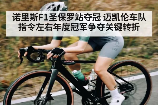 诺里斯F1圣保罗站夺冠 迈凯伦车队指令左右年度冠军争夺关键转折